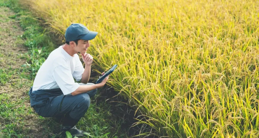 データに基づいた栽培管理 イメージ