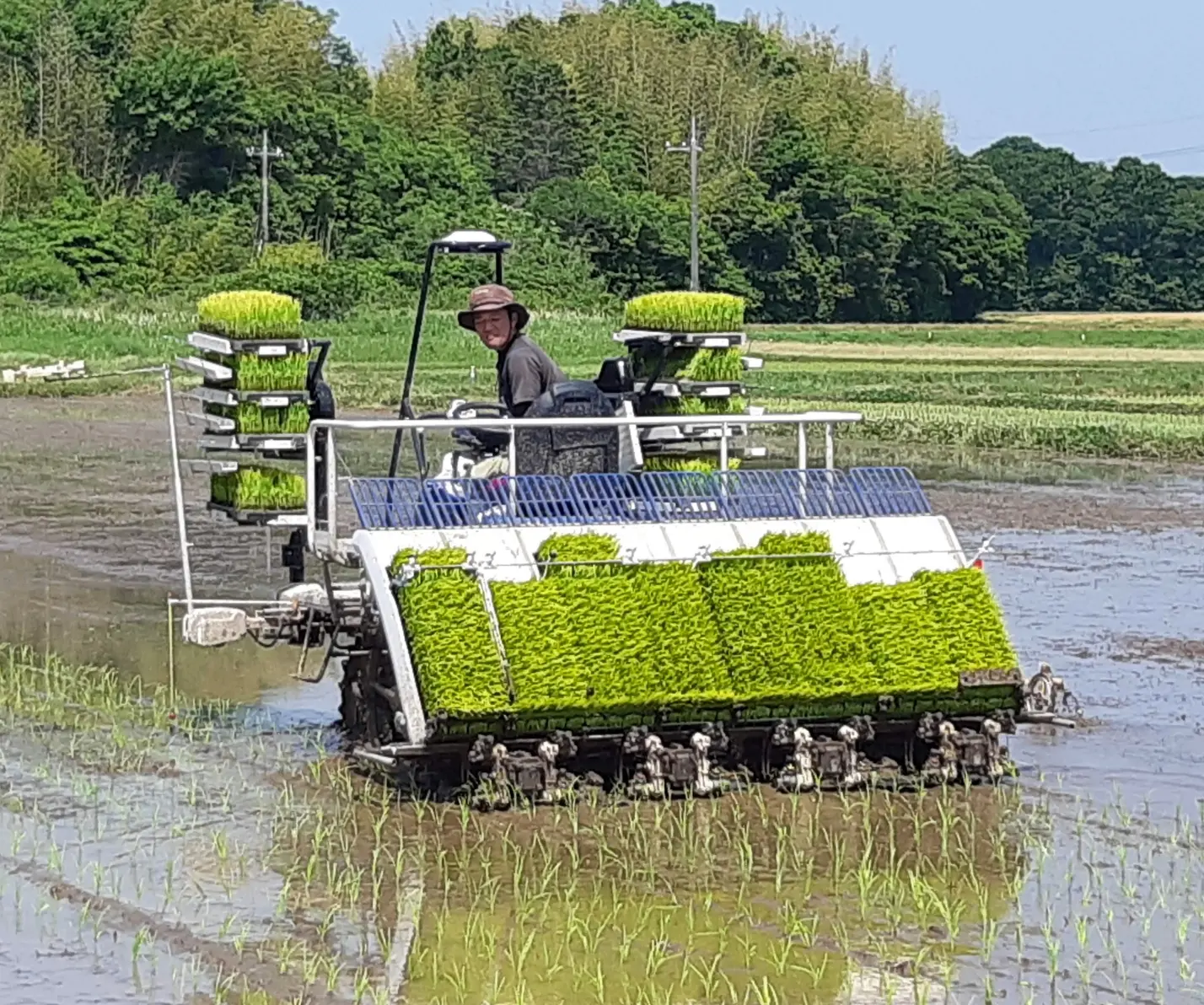 田植え機に乗って苗を植えるスタッフの姿