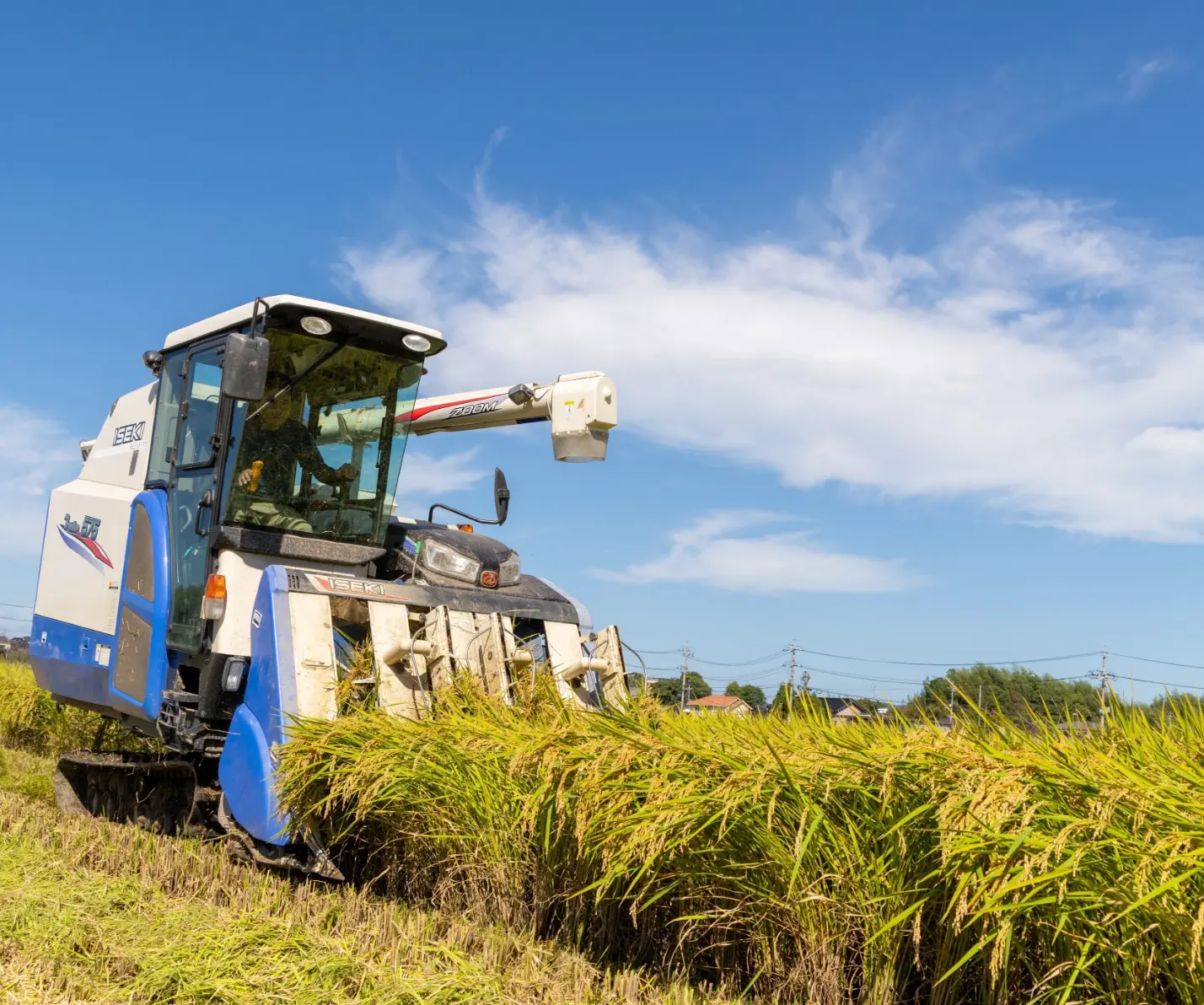 コンバインで稲を刈り取るスタッフの作業風景