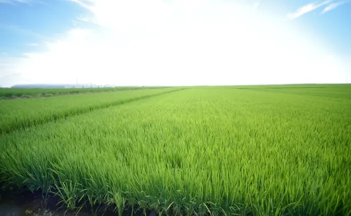 年間の仕事 イメージ